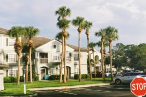 A stop sign in front of a row of palm trees